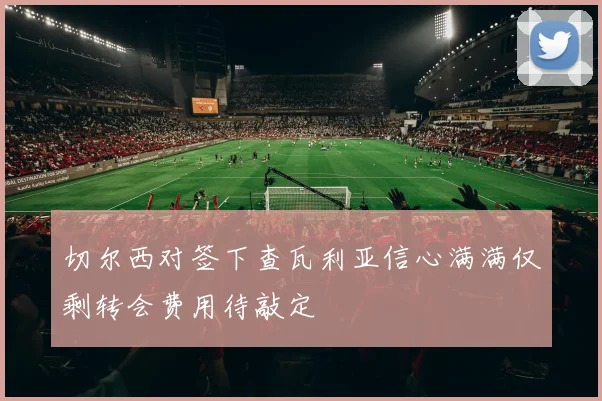 切尔西对签下查瓦利亚信心满满仅剩转会费用待敲定