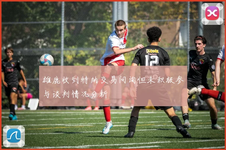 雄鹿收到特纳交易问询但未积极参与谈判情况分析